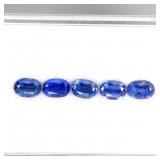 Oval Cut Natural Cornflower Blue Kyanite Nepal 5pc