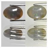 0.66ct Oval Cabochon Natural Black Opal - Spectral