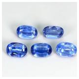 Oval Cut Natural Cornflower Blue Kyanite Nepal 5pc