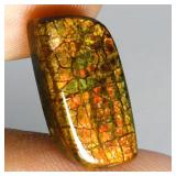 Fancy Cab Natural Hot Rainbow Luster Ammolite Cana