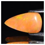 1.31ct 13.5x7.5mm Pear Cabochon Natural Opal - Spe