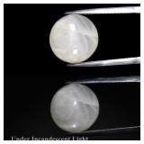 8.58ct 13x7mm Round Cabochon Natural White Cat's E