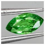 Marquise Natural Unheated Rich Green Tsavorite Gar