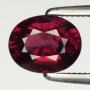 Collector Sale | Coins Jewelry Ancients Gemstones Fossils +
