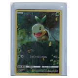 Pokï¿½mon - Turtwig - GG31/GG70