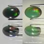 Collector Sale | Coins Jewelry Ancients Gemstones Fossils +
