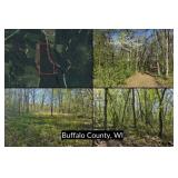 17 Acres of Prime Hunting Land with Trails, Oaks & Cabin Site Near Mondovi