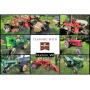 Mentink Auction - James and Mary Ann Johnson Excess Farming Equipment & Antiques