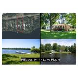 Peaceful Lake Placid Waterfront Home with Pole Building Near Pillager, MN