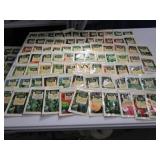 (75+) SeedsOfChangs Organic Seeds 2012ishDates