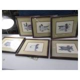 (6) 18x15 WaterFowl Duck Framed Art Pictures