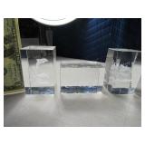 (3) Dolphin~Sealife Insert 3" Glass Paperweights