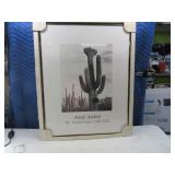 Angel Adams Framed Cactus Poster 22x28