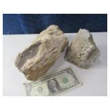 2pcs Petrified Wood Rocks Minerals