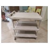 30x21 Classic Poly 3shelf Roller Cart
