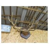 Large unique ELK Antler Rack