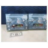 (2) 10ct Patio Indoor/Outdoor Light Sets Margarita