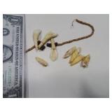 Asst Elk~Animal Teeth