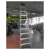 WERNER 300lb X-Tall 10