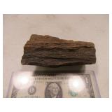 5" Piece of Petrified Wood
