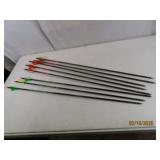 (8) Archery 29'/28' Arrows ICS~ALLEN