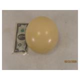 6'x5' authentic Ostrich Bird Egg