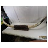Large 52' Taxidermy BULL HORN Mount *NICE*