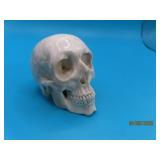 Intricate Lifelike Carved 2' SKULL Figure