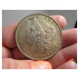 1889 Morgan Silver Dollar Coin patina