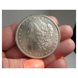 1896 Morgan UNCirculated Silver Dollar Coin