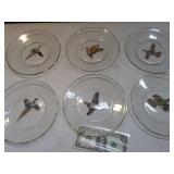 6pc Etched BIRD Print 8" Glass Plate Set