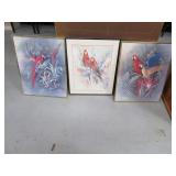 lot (3) 16"x21" Parrot Wall Pics Art Decor