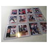 Lot (12) PATRICK ROY Collector