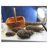ExtraLarge Pine Cones in Basket