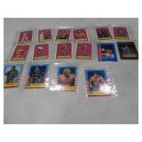 Lot(16) 80s era WWE WWF Collec Cards/Stickers grpB