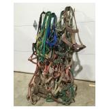 Large lot of harnesses lead ropes and more