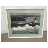 The great black backed gull Eckelberry  picture