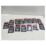 Topps, 2008 Cleveland Indian team sets