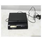Electric scale