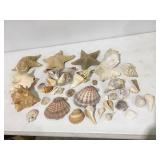 Seashells