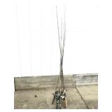 Fishing poles and reels