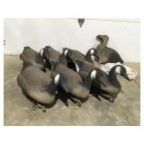 Carry lite Duck decoys and other decoys