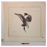 Artist proof engraving duck in flight