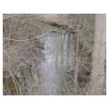 Pipestone Creek View