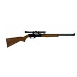 Winchester 190 .22 L, LR Semi Auto Rifle