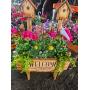 SPRING SHRUB, FLOWER & CRAFT AUCTION