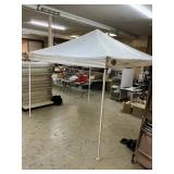 10 x 10 pop-up (some pin holes noted) zipper on