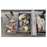 Petrified wood and fossils and tumbled glass Petrified wood and fossils and tumbled glass