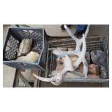 Outdoor decor rocks petrified wood Outdoor decor rocks petrified wood