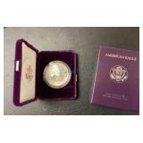 1991 American eagle 1991 American eagle